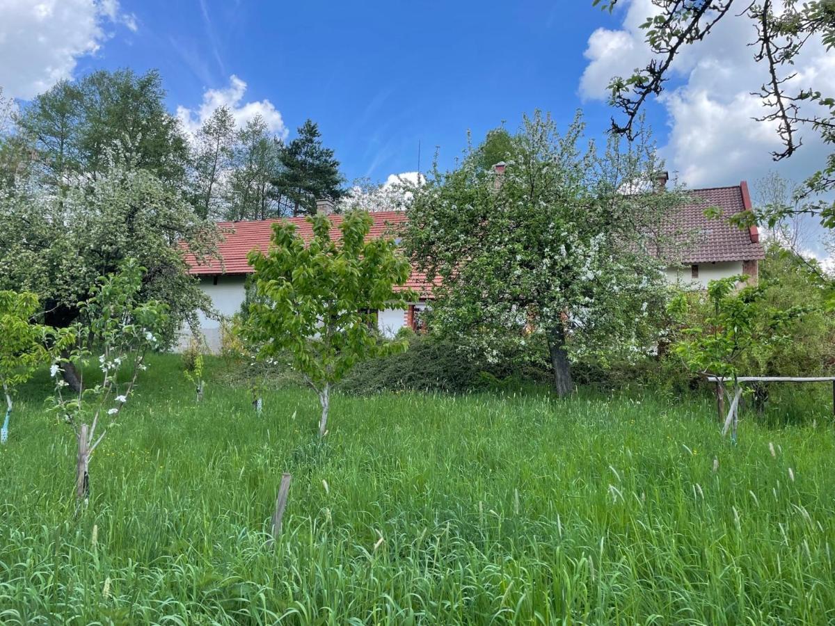 Hlinne V Orlickych Horach Dobré Exterior foto